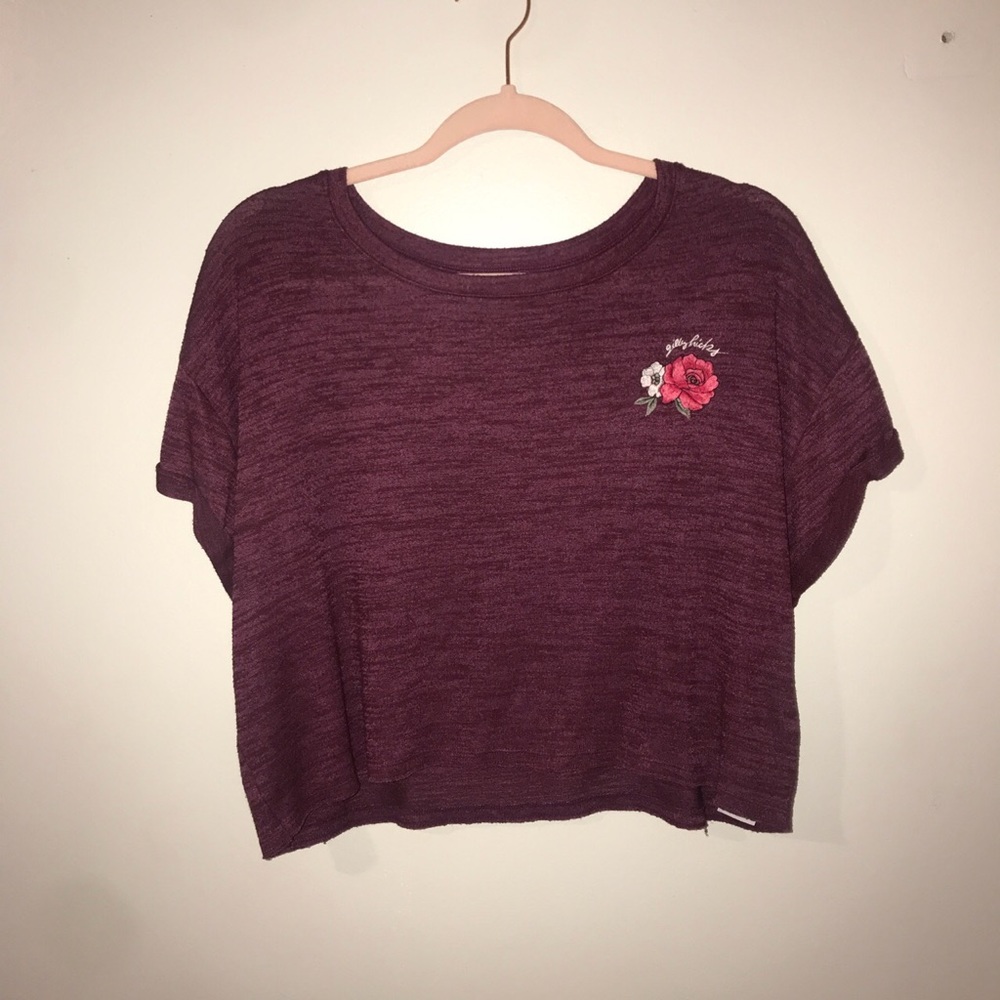 Gilly Hicks crop top